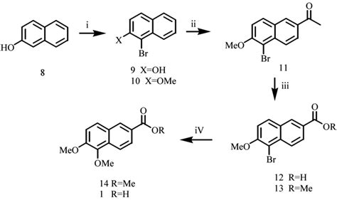 Scheme 2 Reagents And Conditions I A Br2 AcOH 88 B