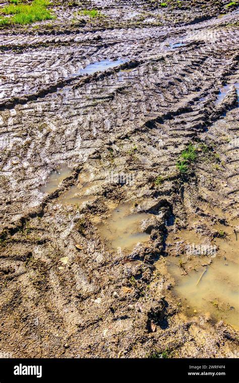 Tractor Tyre Tracks In Muddy Entrance To Field Central France Stock