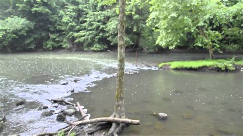 Mohican State Park Clear Fork River And Gorge Youtube