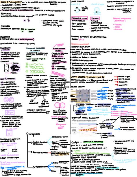 Resumen Solemne Biocel Biologia Celular Studocu