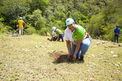 Industrias San Miguel Realiza Jornada De Reforestación En Santiago Rodríguez El Constituyente