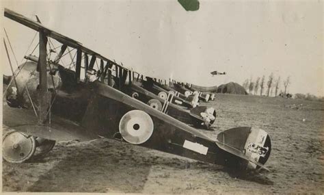 Camels Wwi Ww1 Aircraft Sopwith Camel