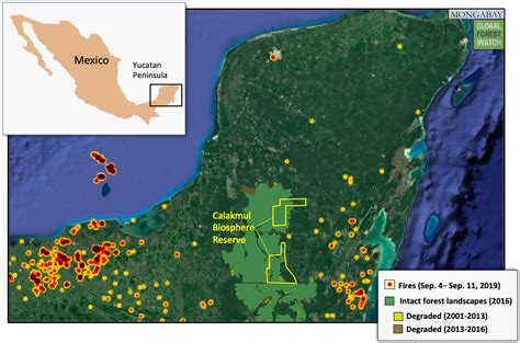 Calakmul Map