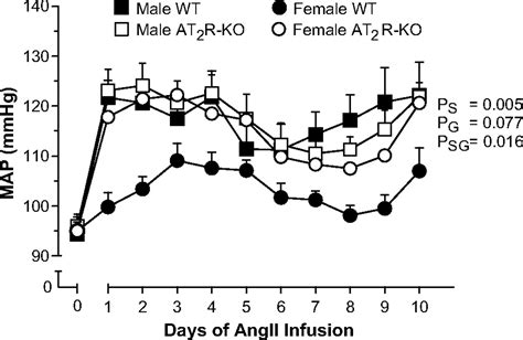 Sex Differences In The Pressor And Tubuloglomerular Feedback Response