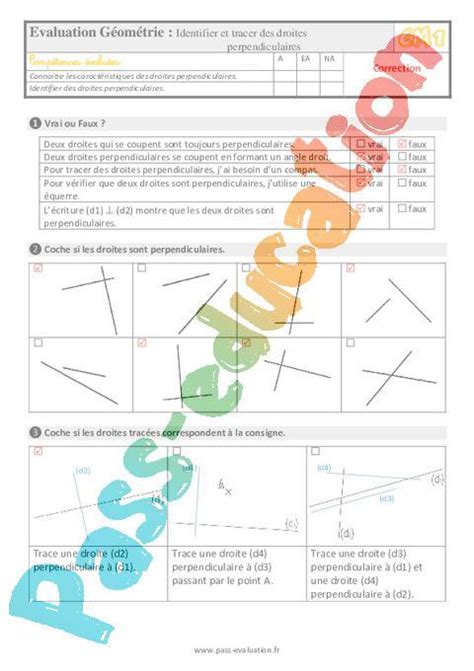 Identifier Et Tracer Des Droites Perpendiculaires Au Cm Evaluation