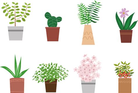 Potted Plant Vector Png Check Out Our Potted Plant Vector Selection For