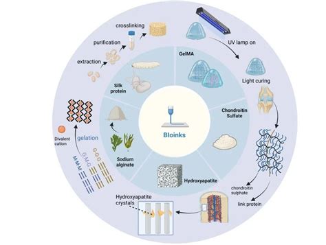 苏佳灿教授团队最新《small》综述：3d生物打印构建关节类器官策略与应用中国3d打印网