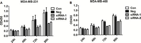 Cck8 Assay On Cell Proliferation At 24 48 72 And 96 Hours After Download Scientific Diagram