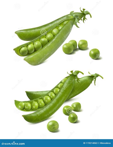 Green Pea Pods Set Isolated On White Background Stock Image Image Of