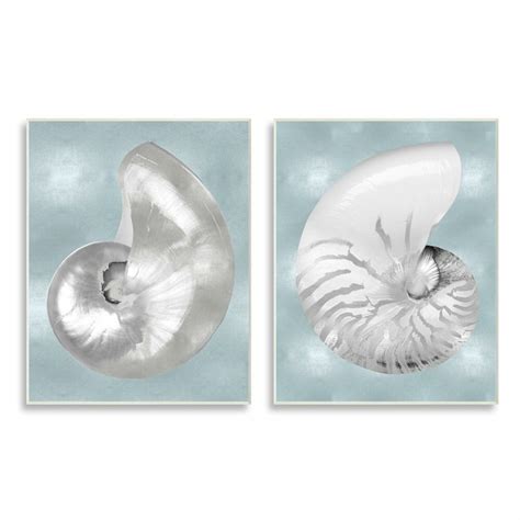 Rosecliff Heights Minimal Nautilus Shell Framed 2 Pieces By Caroline Kelly Painting And Reviews