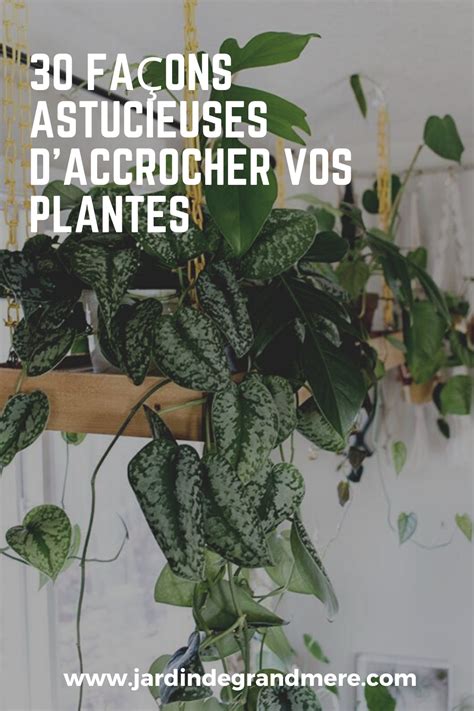 Fa Ons Astucieuses Daccrocher Vos Plantes En Plante Plantes