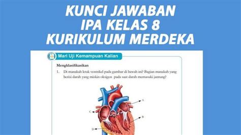 Kunci Jawaban Ipa Kelas 8 Halaman 64 Kurikulum Merdeka Mari Uji