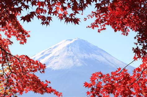 Photo Of Snow Covered Mountain Mt Fuji HD Wallpaper Wallpaper Flare