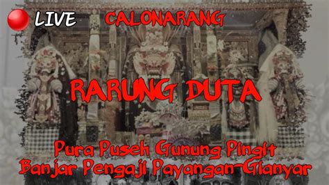 Live Calonarang Rarung Duta Pura Puseh Gunung Pingit Banjar Pengaji