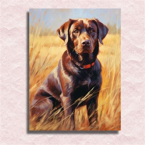 Labrador Dog Paint By Numbers Kit Painting By Numbers Shop