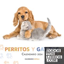 Calendario Perritos Y Gatitos 2024 de AA. VV. 978-84-480-3808-3