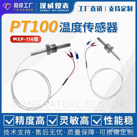 爆款pt100溫度傳感器鉑熱電阻電偶精密wzp Pt100探頭式防腐防水型高溫快樂的小陽 蝦皮購物