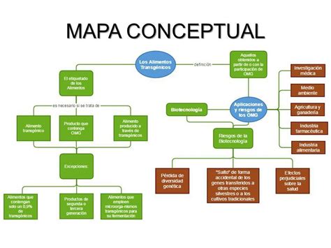 Alimentos Transg Nicos Un Mapa Conceptual Esta Hot Sex Picture