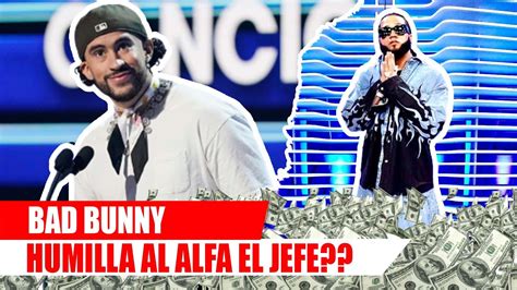 BAD BUNNY HUMILLA AL ALFA EL JEFE CON SU CADENA DE 7 5 Millones De