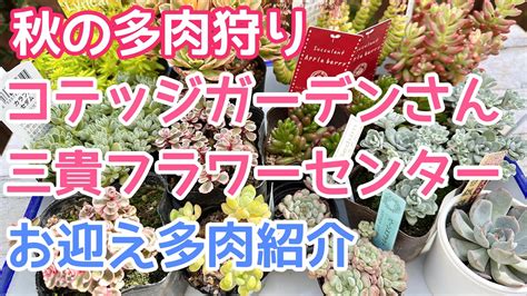 【vlog363】【多肉植物】秋の多肉狩り🍁愛知から神奈川へ🚃初めてコテッジガーデンさんに行ってきました ️ Youtube