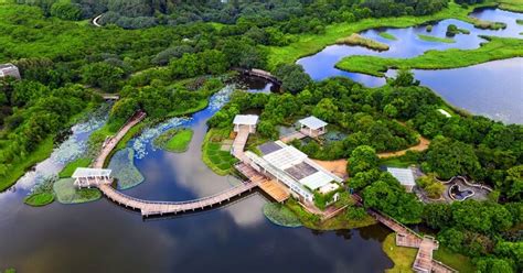 Hong Kong Wetland Park: A Complete Guide For Vacationers