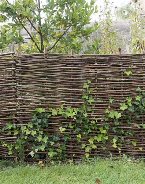 Everything You Need to Know About Fences & Gates - Gardenista