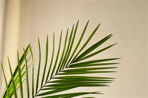 Travel Decor Ideas: Transform Your Home into a Paradise