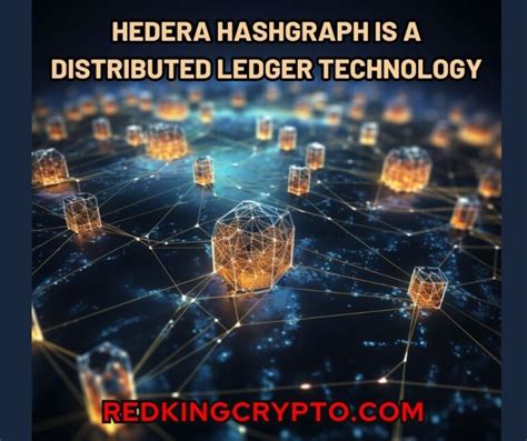 What Is Hedera Hashgraph The Network Of Hbar Red King Crypto