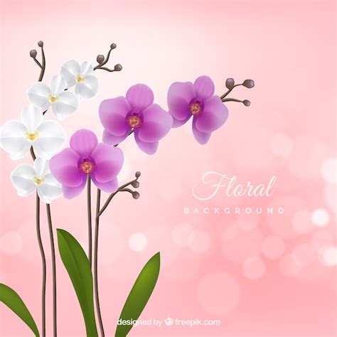 Fondo floral con orquídeas realistas Vector Premium