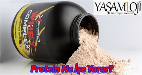 Protein Tozu Zararları ve Faydaları Nasıl Kullanılır Yasamloji