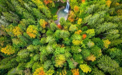 Le Gouvernement Dévoile Enfin Son Plan Pour Protéger La Biodiversité En