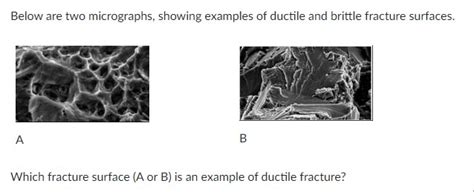 Solved Below Are Two Micrographs Showing Examples Of