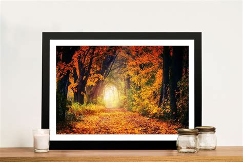 Vision Of Autumn Framed Canvas Wall Art Marino Adelaide Australia