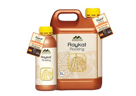 RAYKAT ROOTING - Trung Hiệp Lợi - We Bring You Greens