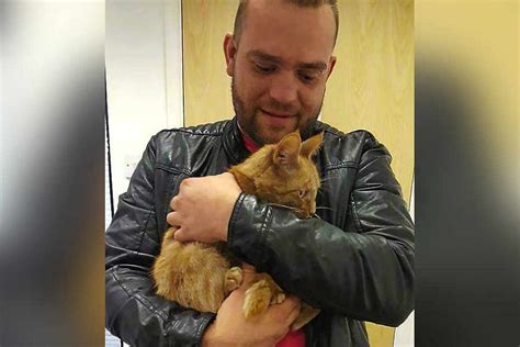 Cat Survives Mile Journey To Shropshire In Van S Engine Bay With