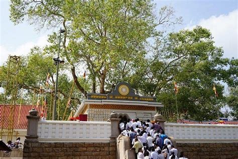 Half Day Tour In Sacred City Of Anuradhapura Or Sacred City Of Mihintale