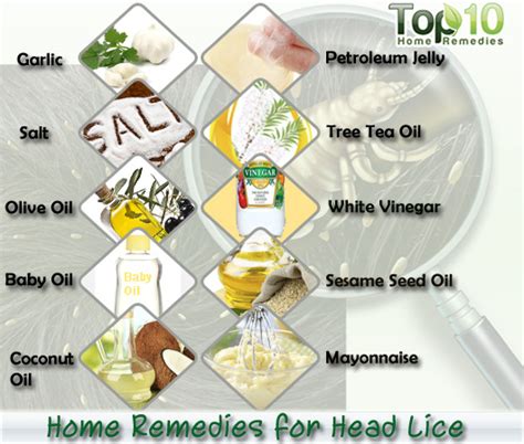 Home Remedies for Head Lice | Top 10 Home Remedies