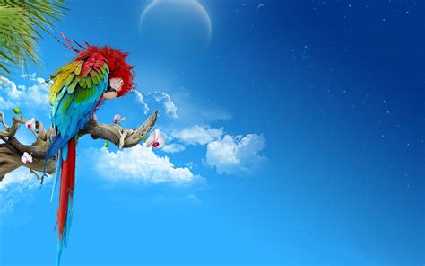 Parrot Wallpaper for Desktop - WallpaperSafari