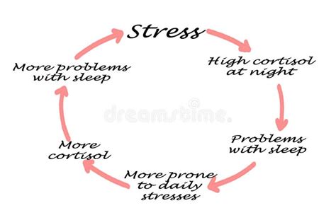 Stress Cycle Diagram Stock Photos Free And Royalty Free Stock Photos