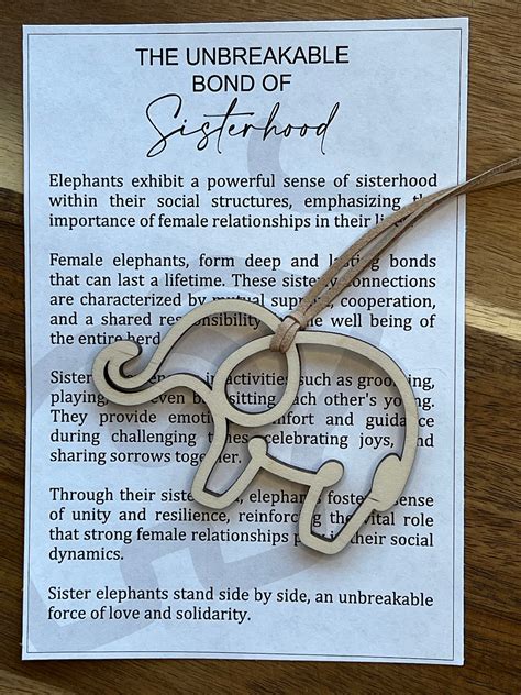 Sisterhood Unbreakable Bond Friendship Elephant Sisterhood T