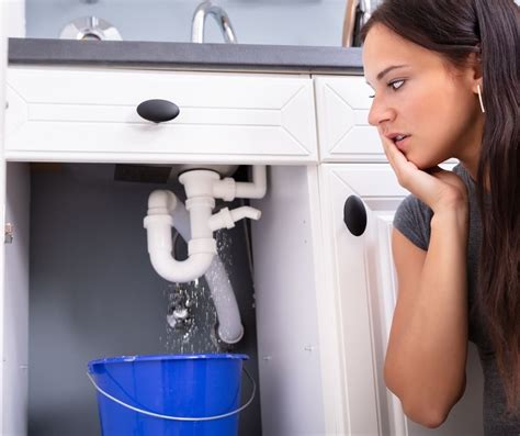 5 Signs You May Need To Hire A Plumber Prim Mart