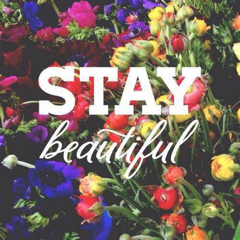 Stay Beautiful Pictures Photos And Images For Facebook Tumblr