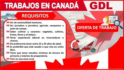 Trabajos en Canadá 2023 2024 Bolsa de Trabajo enero 2025