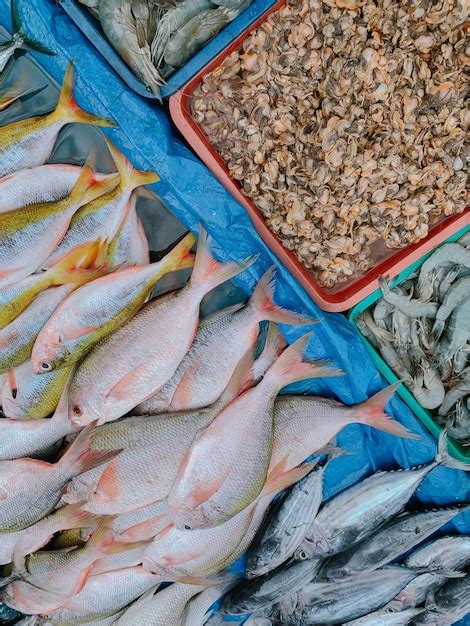 Page 12 Marsaxlokk Fish Market Images Free Download On Freepik