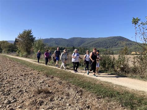 Hot Weather Walking Advice Bristol Nordic Walking