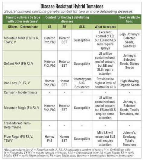 Choose Tomato Varieties With The Best Disease Resistance Packages Growing Produce