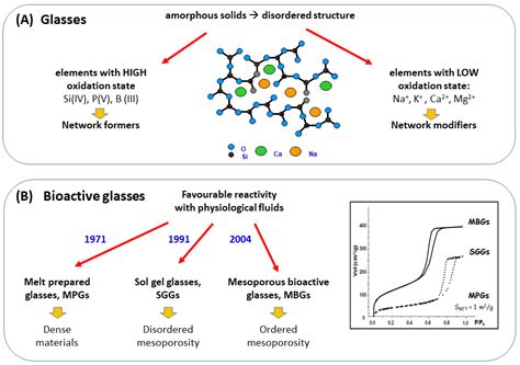 Bioactive Glasses In Bone Regeneration Encyclopedia Mdpi