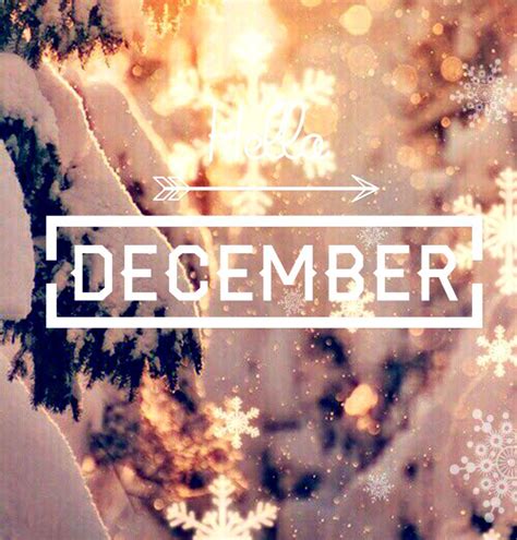 Hello December Wallpapers Top Free Hello December Backgrounds