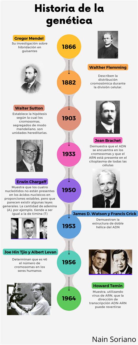 Infografía historia de la genética Historia de la genética 1866 1882