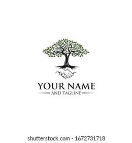 Root Tree Logo Illustration Vector Silhouette Stock Vector Royalty